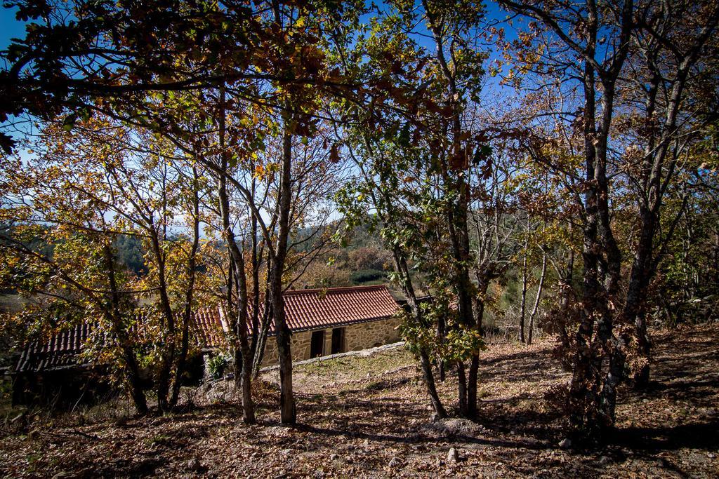 בית הארחה ואלה דה קאמברה 	Casas Dos Avos חדר תמונה